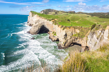 West Coast #2, Southern Island, New Zealand