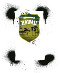 hawaiian summer shield with spray stencil background