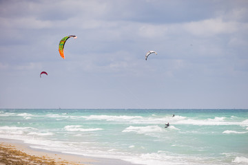 Beautiful view on the ocean beach with colorful kites. Cloudy day by the sea. Ocean coast. Vacation travel concept