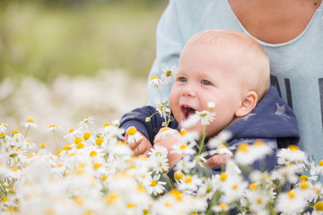 Portrait of adorable baby with flowers in chamomile field. Mother holding child and walking  on wild flowers meadow.