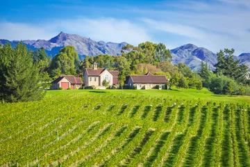 Tuinposter Small Vineyard Marlborough regio, Nieuw-Zeeland © A. Karnholz