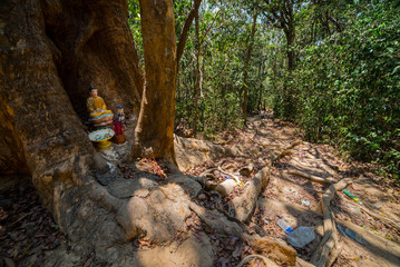 Dirty path and small temple in the jungle.