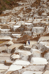 Two people working together at Salina de Maras, the traditional inca salt field in Maras near Cuzco in Sacred Valley Peru
