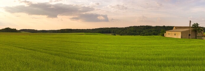 panorama pola na wsi © blesz
