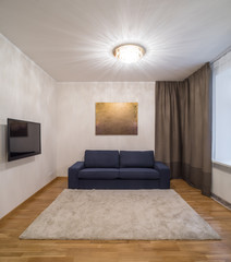 Interior of living room.