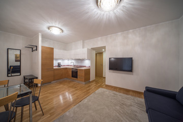 Kitchen in the interior of the studio apartments.