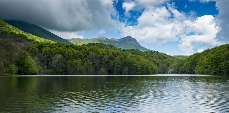 Pantano rodeado de bosque de hayas en Santa F&eacute; del Montseny, Catalu&ntilde;a