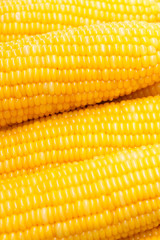 Fresh ear of corn