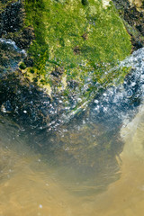 Wild natural design, rock stone texture surface