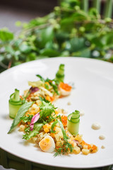 Healthy tomorrow of Russian salad served on a white plate
