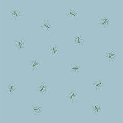 insect pattern