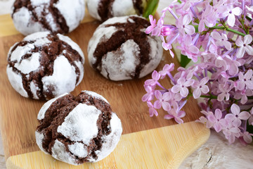 chocolate cakes in powdered sugar