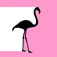 flamingo symbol