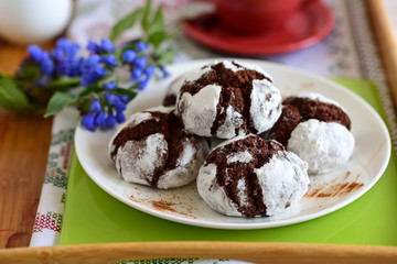 chocolate cakes in powdered sugar