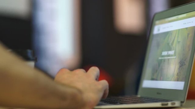 The Young Man Working At A Computer