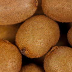 Whole Kiwi Fruit. Selective focus.