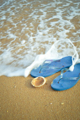 Blue flip flops and ocean shell along tropical exotic beach. Top view close up