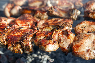 Cooking meat on the fire.