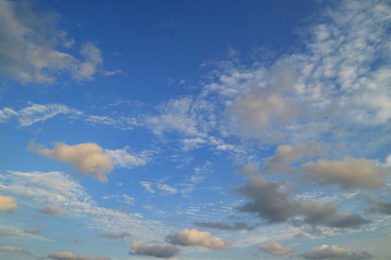 Fototapeta na wymiar 夕方の雲