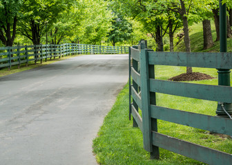 Green Fence Lining the Road