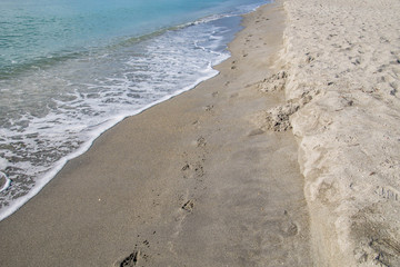 Footprints on the Beach