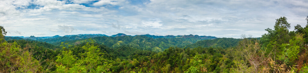 Fototapeta na wymiar panorama Mountain and trees of the rain forest.
