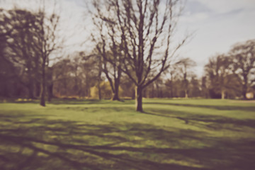 Blurred Nature Background with Vintage Style Filter