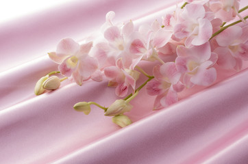 ピンクのデンファレ