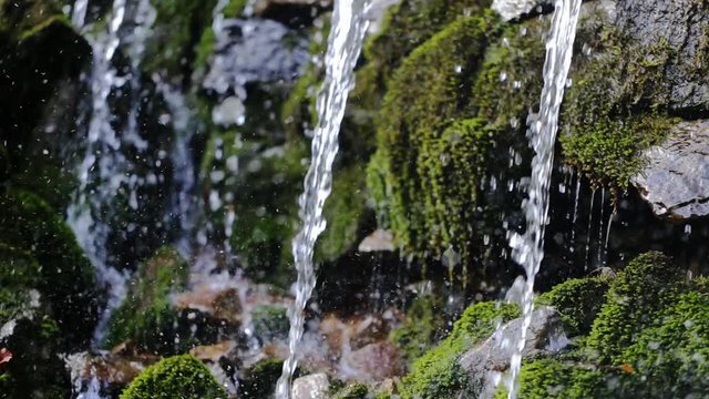 Close up of small waterfall and green plants in nature