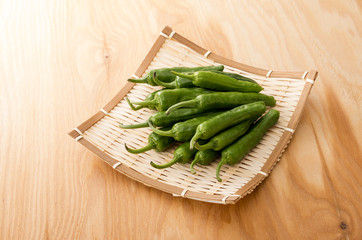 シシトウガラシ