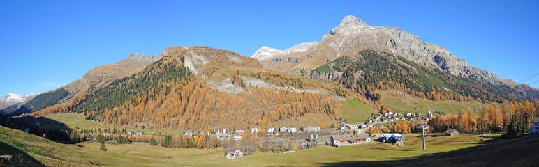 Splugen - Switzerland - Autumn trees 