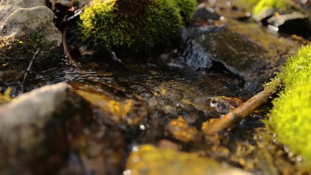 Pure fresh forest stream running over mossy rocks, close up