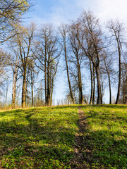 Fototapeta premium Early morning