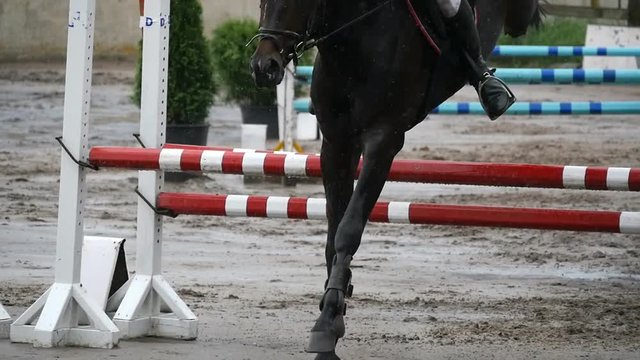 Close up of horse feet. Horse runs on the sand and jumps through a barrier. Slow motion