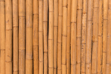 Naklejka premium Natural yellow dry bamboo wall