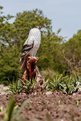 Ceramic owl in a garden