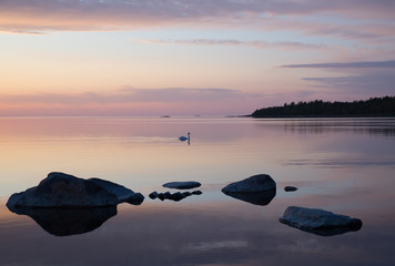 Rocky coast at sea archipelago in sweden