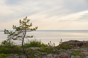 Rocky coast at sea archipelago in sweden