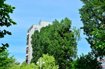Blok mieszkalny wśród drzew na błękitnym niebie