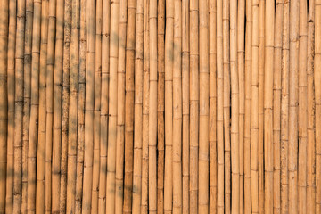 Natural yellow dry bamboo wall