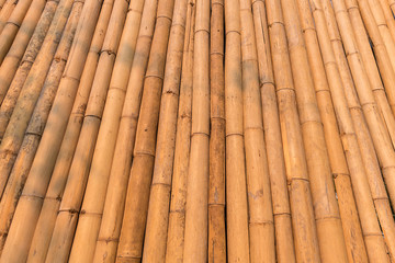 Natural yellow dry bamboo wall