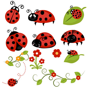 Ladybug icons set