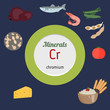 Vektor: Minerals Cr
infographic Minerals Cr infographic