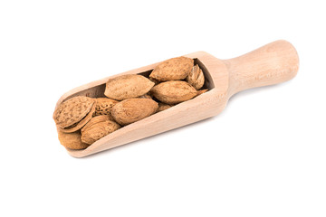 Almonds in a scoop