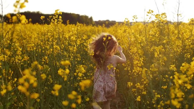 girl running cross the field at sunset.Slow motion