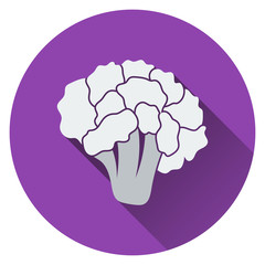 Cauliflower icon