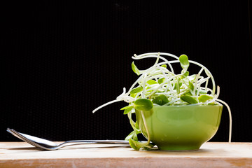 Green young sunflower sprouts  on wooden table with dark backgro