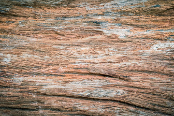 Grunge wood texture
