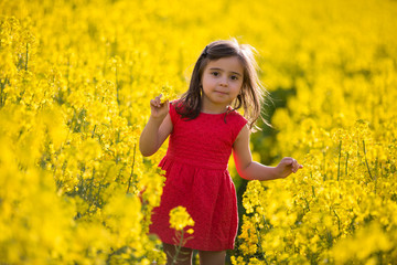 Naklejka na ściany i meble beautiful little girl playing in colza field