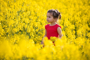 Fototapeta premium beautiful little girl playing in colza field